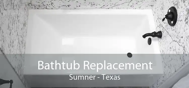 Bathtub Replacement Sumner - Texas