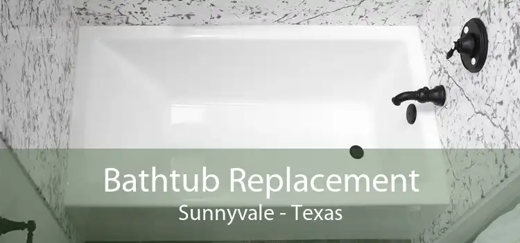Bathtub Replacement Sunnyvale - Texas