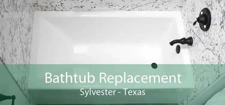 Bathtub Replacement Sylvester - Texas
