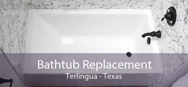 Bathtub Replacement Terlingua - Texas