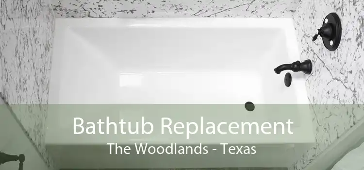 Bathtub Replacement The Woodlands - Texas