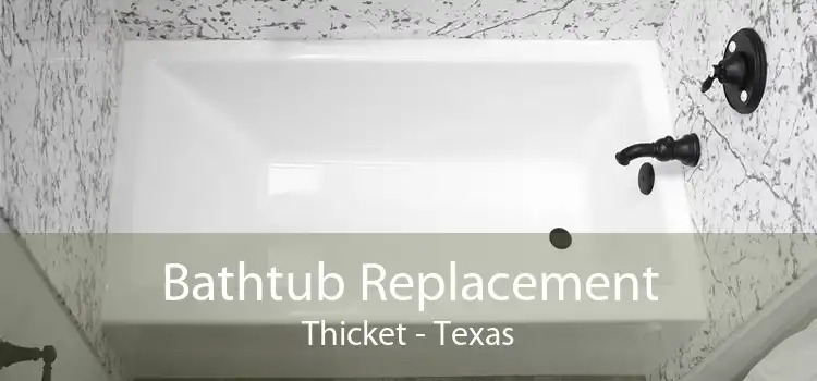 Bathtub Replacement Thicket - Texas