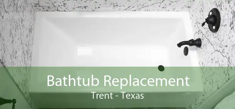 Bathtub Replacement Trent - Texas