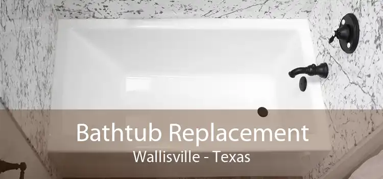 Bathtub Replacement Wallisville - Texas