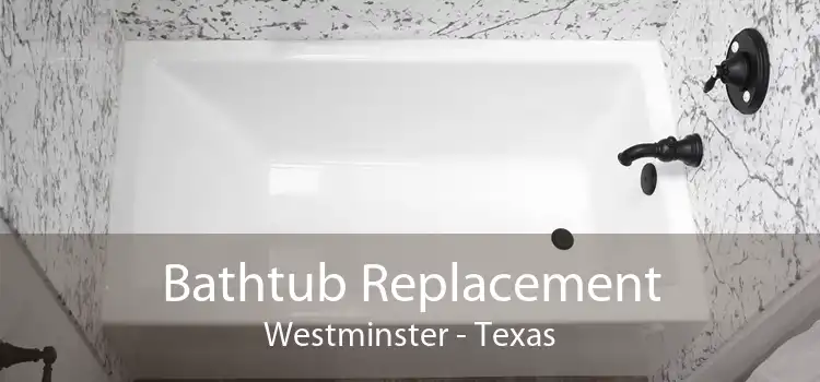 Bathtub Replacement Westminster - Texas