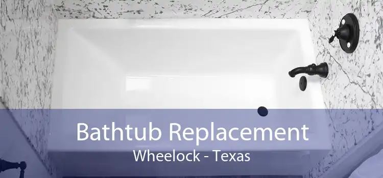Bathtub Replacement Wheelock - Texas