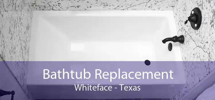 Bathtub Replacement Whiteface - Texas