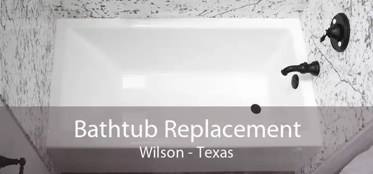 Bathtub Replacement Wilson - Texas