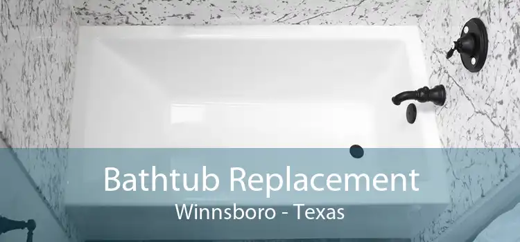 Bathtub Replacement Winnsboro - Texas