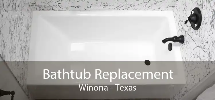 Bathtub Replacement Winona - Texas