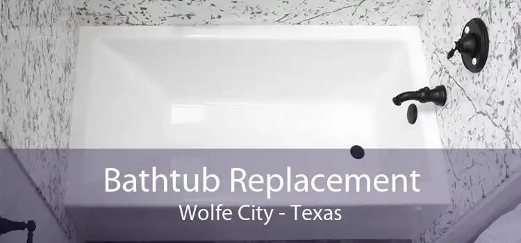 Bathtub Replacement Wolfe City - Texas