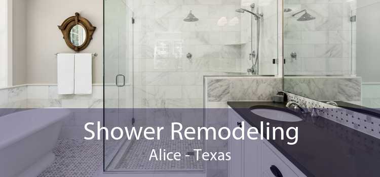 Shower Remodeling Alice - Texas