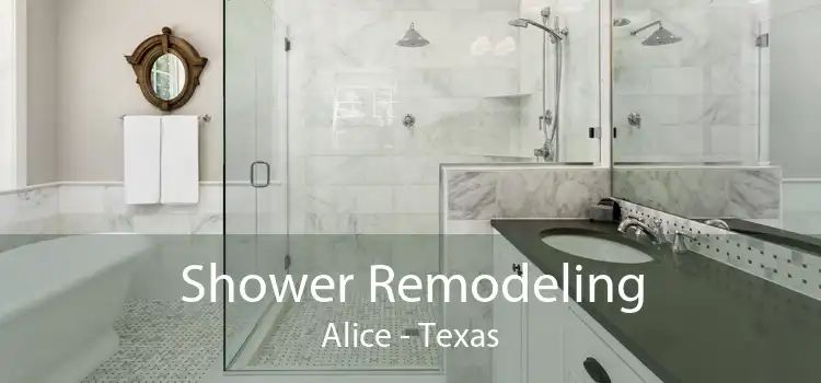 Shower Remodeling Alice - Texas