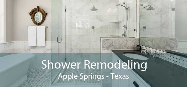 Shower Remodeling Apple Springs - Texas
