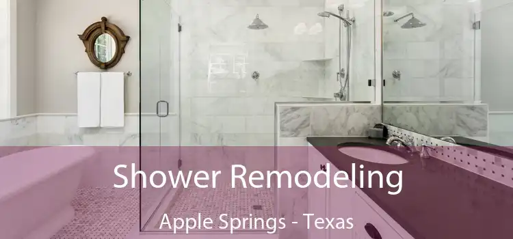 Shower Remodeling Apple Springs - Texas