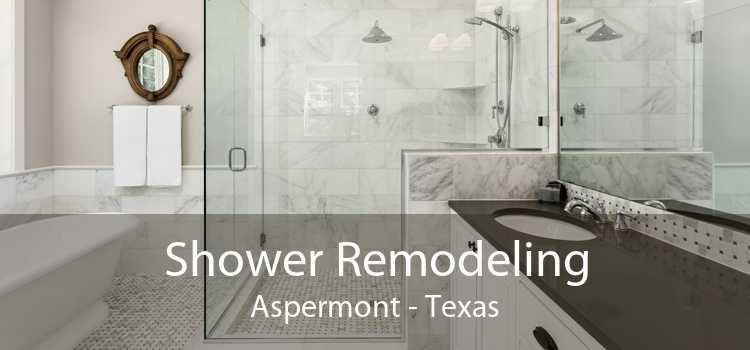 Shower Remodeling Aspermont - Texas