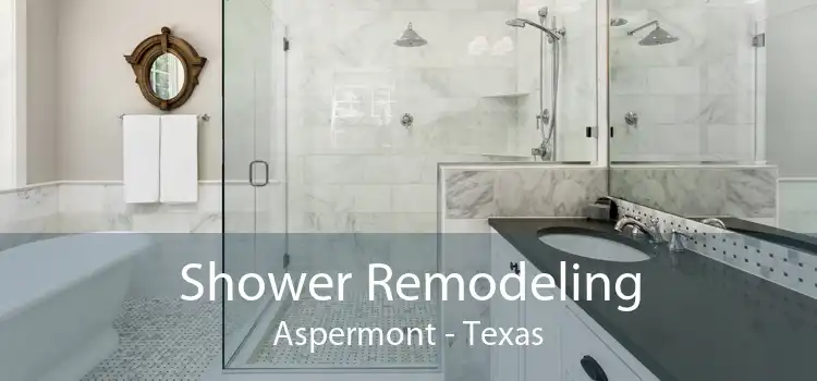 Shower Remodeling Aspermont - Texas