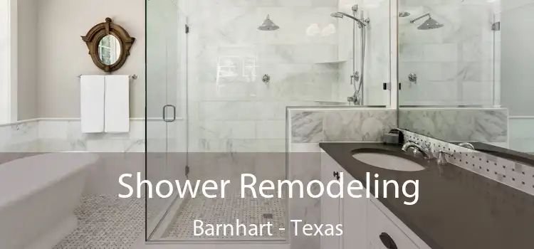 Shower Remodeling Barnhart - Texas