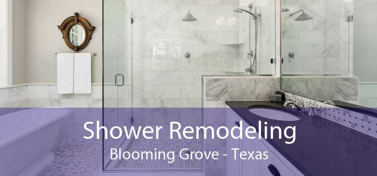 Shower Remodeling Blooming Grove - Texas
