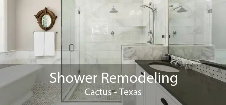 Shower Remodeling Cactus - Texas