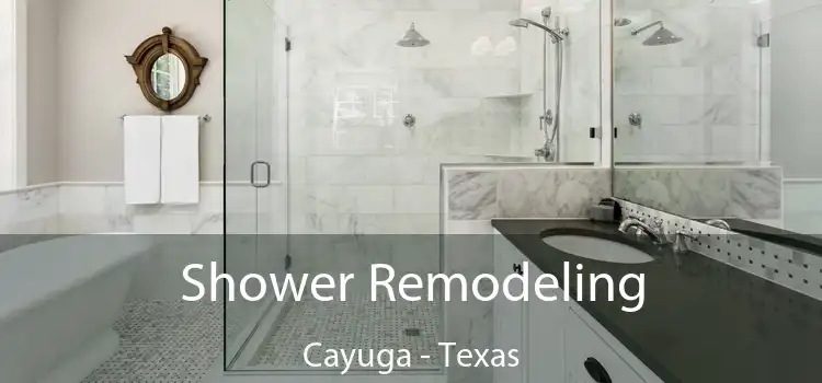 Shower Remodeling Cayuga - Texas
