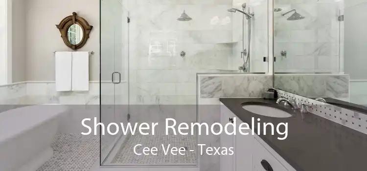 Shower Remodeling Cee Vee - Texas