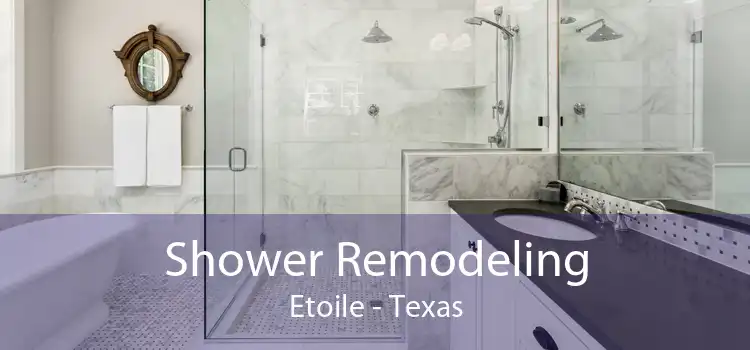 Shower Remodeling Etoile - Texas