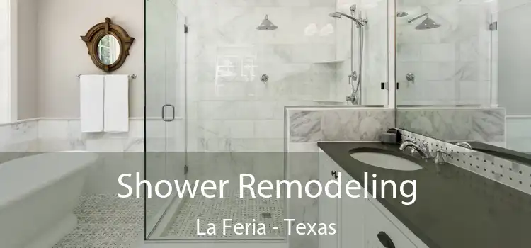Shower Remodeling La Feria - Texas