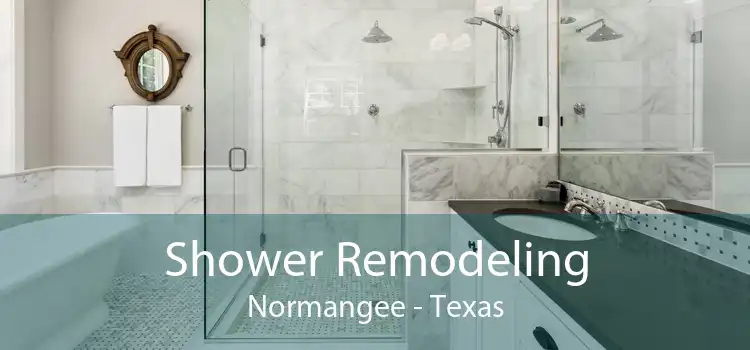 Shower Remodeling Normangee - Texas