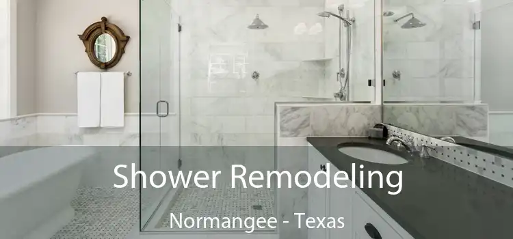 Shower Remodeling Normangee - Texas