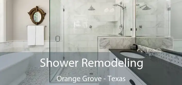 Shower Remodeling Orange Grove - Texas