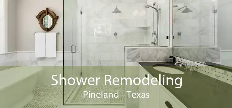 Shower Remodeling Pineland - Texas