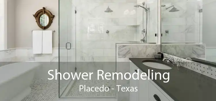 Shower Remodeling Placedo - Texas