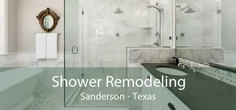 Shower Remodeling Sanderson - Texas