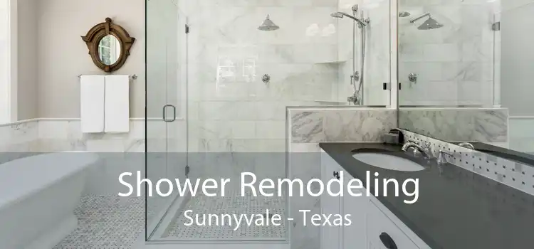 Shower Remodeling Sunnyvale - Texas