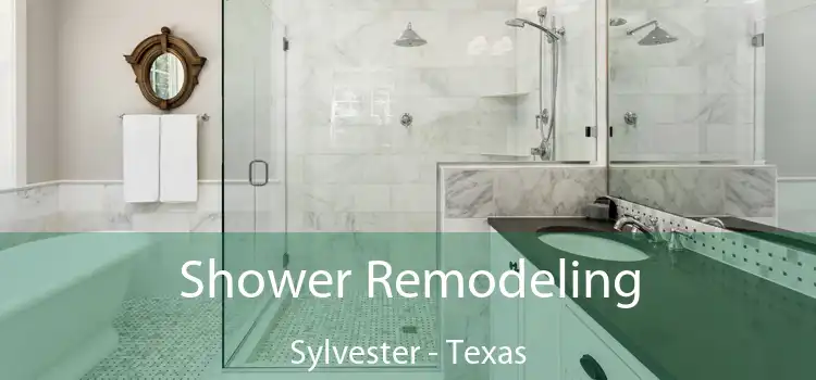 Shower Remodeling Sylvester - Texas