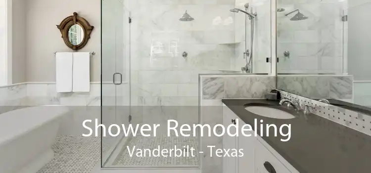 Shower Remodeling Vanderbilt - Texas