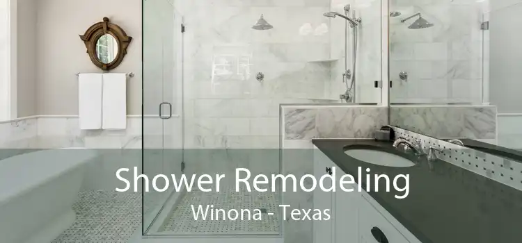 Shower Remodeling Winona - Texas
